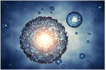 真妮早早孕试纸