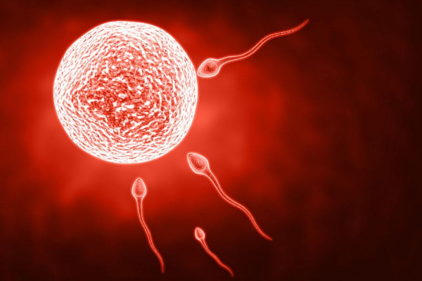 眚怎么读音是什么意思