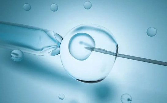 男性性功能检查