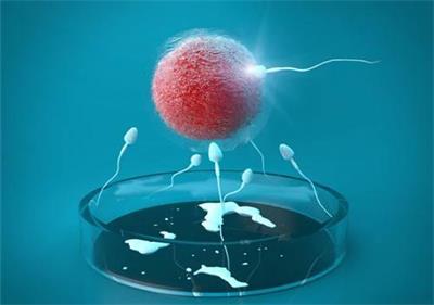 男性性功能障碍