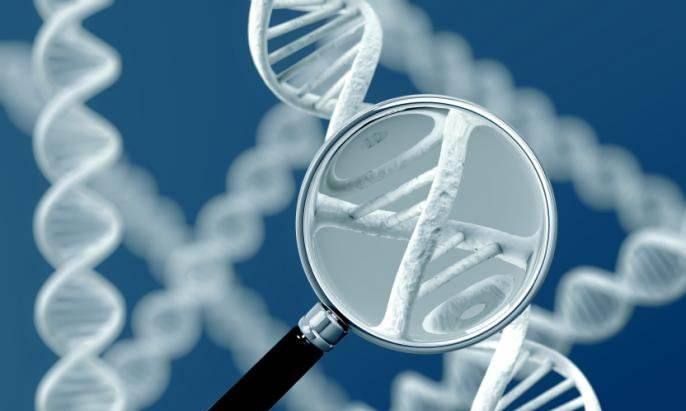 男性生育功能缺失