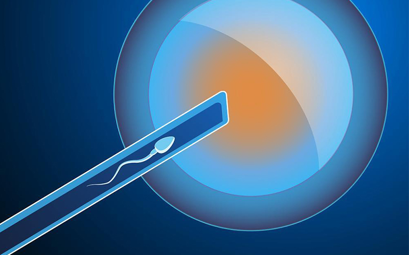 第二次怀孕初期症状