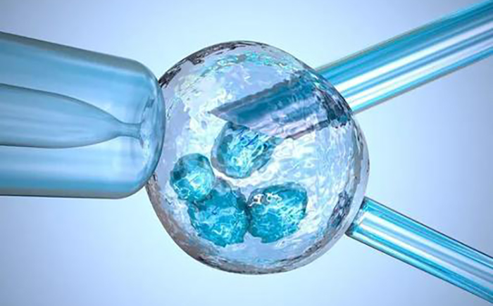 突然月经血块特别多