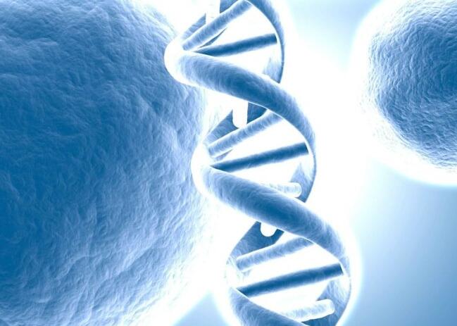 头胎预产期推迟