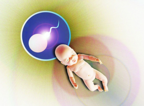 移植后着床时间