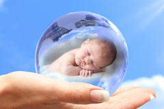 移植胚胎着床时间